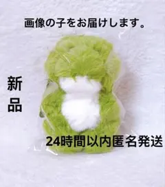 T*R様 mojojojo ワニ ぬいぐるみ Teddy JOJO - メルカリ