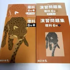 予習シリーズ　& 演習問題集　理科 6年 上