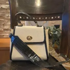 PESHINCHAR ベージュと黒のショルダーバッグ