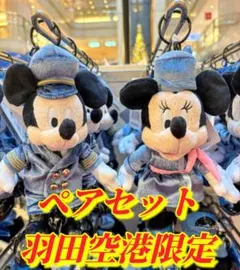 ご当地限定ディズニー ぬいぐるみキーホルダー ペアセット