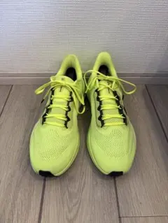 NIKE ペガサス41 ボルト 30cm