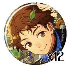 あんスタ コレクション缶バッジ 天満光 12個セット