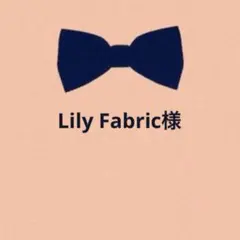 Lily Fabric様 リクエスト 2点 まとめ商品