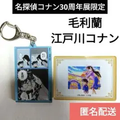 コナン展　ランダムアクリルマグネット　アクリルマグネット　毛利蘭　江戸川コナン