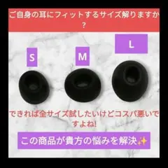 AirPods Pro .Pro2用イヤーチップ 互換品　黒LMS（2個ずつ）