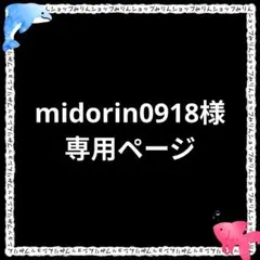 midorin0918様 リクエスト 2点 まとめ商品