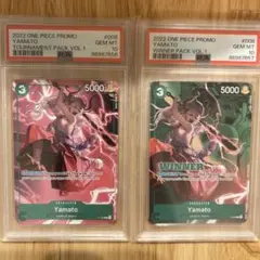 2022 海外大会優勝プロモ ヤマト