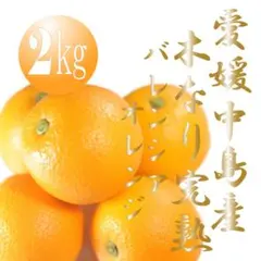 国産オレンジ　完熟　バレンシアオレンジ　愛媛中島産　家庭用　2ｋｇ　2051のサムネイル