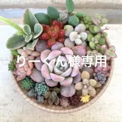 りーくん様 リクエスト 2点 まとめ商品