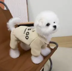 Item thumbnail for item 5d267f85-ca97-4c87-8510-a9dce49d4578