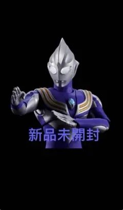 2026年最新】真骨彫 ティガ スカイタイプの人気アイテム - メルカリ