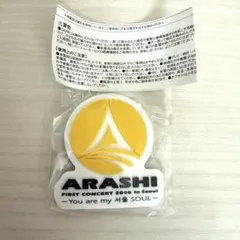 嵐 ARASHI カプセルトイ ガチャ 歴代ツアーロゴマグネット 2個セット