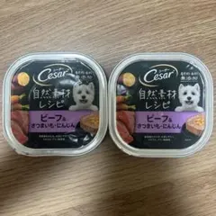 シーザー 自然素材レシピ ビーフ＆さつまいも・にんじん 2個