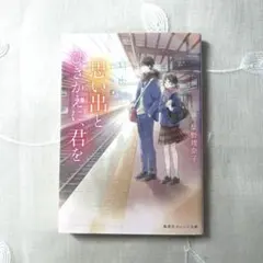 思い出とひきかえに君を