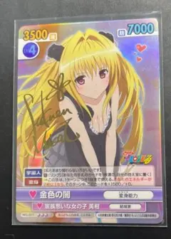 【希少・未開封】ヴィクトリースパーク ToLOVEるダークネス 初版 2ボックス 91G8CNWIUWL._AC_UF894,