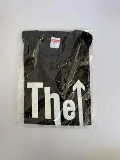 Item thumbnail for item a5792738-83b1-4b5e-9f1e-f963299adada