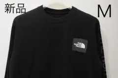 THE NORTH FACE/ L/S Sleeve Graphic Tee