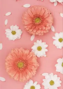 Item thumbnail for item a051f6a1-6d44-4edd-a4eb-7ea83de696e2