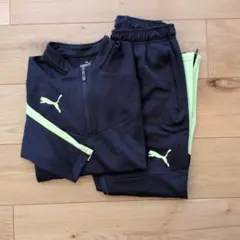 【PUMA 】ジャージ 上下セット160・150