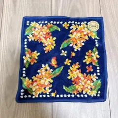 Item thumbnail for item 2204e6e1-8a10-49a0-a866-324431c02a7c