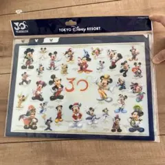 〈新品未使用〉【東京ディズニーリゾート】30周年 ハピネスイヤー クリアホルダー