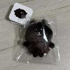 ナガノマーケット カラーなナガノのくまマスコット ダークブラウン 新品タグ付き