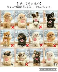 2xうずら様専用ページ♥2 x ショルダー♥ - メルカリ