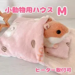 Item thumbnail for item 99d6151d-b84a-4098-83ea-7cfd6d77ef36