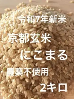 令和7年新米　京都玄米　にこまる　農薬不使用　農家直送　2キロのサムネイル