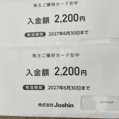 上新電機 ジョーシン 株主優待券3枚/6600円分のサムネイル
