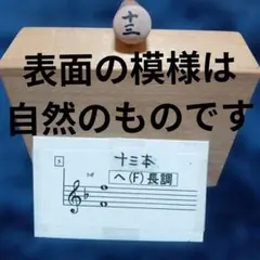 Item thumbnail for item 3ae4193f-add5-4379-a97a-fc6659559cd2