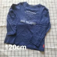ムージョンジョン 長袖カットソー 120cm
