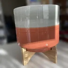 HITOHACHI ヒトハチ　大きな鉢　観葉植物　花台付き