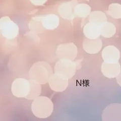 N様ご専用