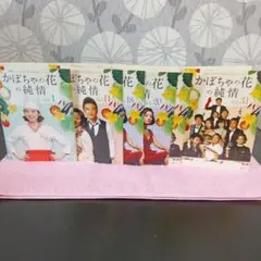 韓国dvdかぼちゃの花の純情.全31枚
