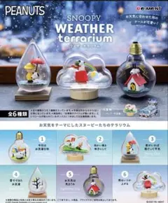 リーメント スヌーピー エブリデイテラリウム 全6種セット - メルカリ