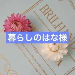67・ヘリクリサムドライフラワー 花材 リース ハーバリウム ガーランド