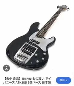 2025年最新】IBANEZ ATK 5弦の人気アイテム - メルカリ