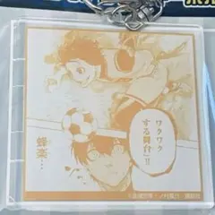 蜂楽廻 場面写アクリルキーホルダー ブルーロック タワレコ原画展 原作 アクキー