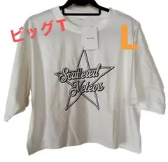 【L】ビッグTシャツ