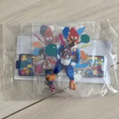 USJ 25周年 カプセルトイ アクリルチャーム ユニバ ウッディー