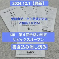 2025年最新】サピックスオープン 4年の人気アイテム - メルカリ