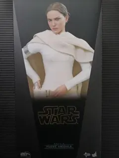 【ホットトイズ （新品未開封）】 スター・ウォーズ１／６フィギュア　パドメ ホットトイズ （新品未開封）】 スター・ウォーズ1／6