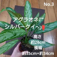 ni co様 リクエスト 2点 まとめ商品