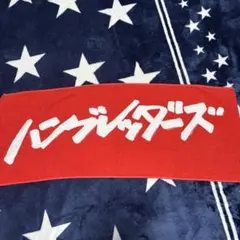 旧ロゴ ハンブレッダーズ タオル Tシャツ2枚付き 旧ロゴ ハンブレッダーズ タオル Tシャツ2枚付き ハンブレッダーズ