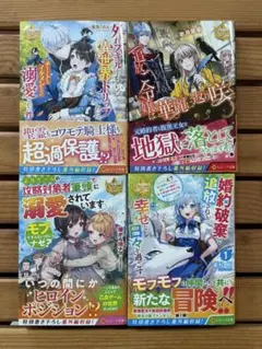 3■レジーナ文庫　小説4冊セット まとめ売り