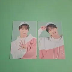 SEVENTEEN CARAT LAND　ディノ　トレカ