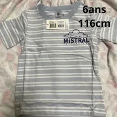 未使用 PETIT BATEAU ボーダー Tシャツ 6ans 116cmのサムネイル