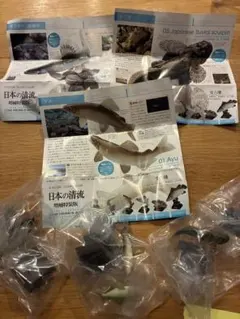 ネイチャーテクニカラー 日本の清流 増補特装版 アユ　カジカ　オイカワ