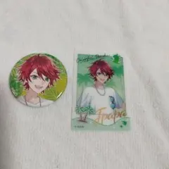 からぴち夏休み2025　東京ドーム じゃぱぱさんの缶バッチ クリアカード